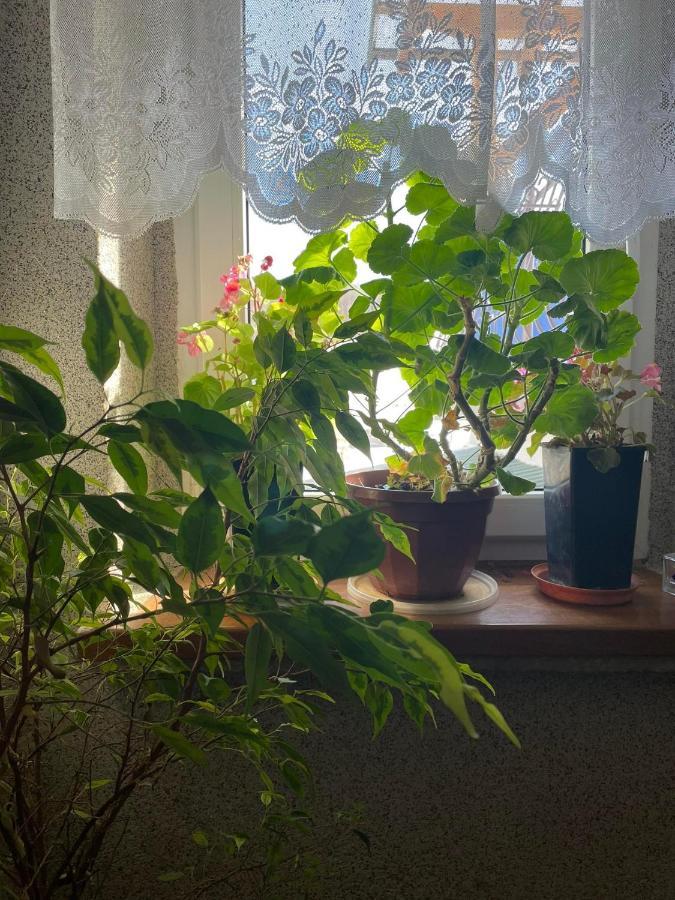 Agroturystyka Pensjonat Paula Muszyna Exteriér fotografie